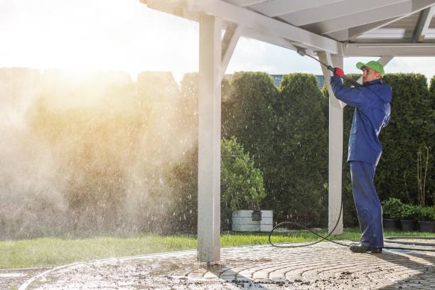 Best Spring Cleaning  in Lauderdale, MN